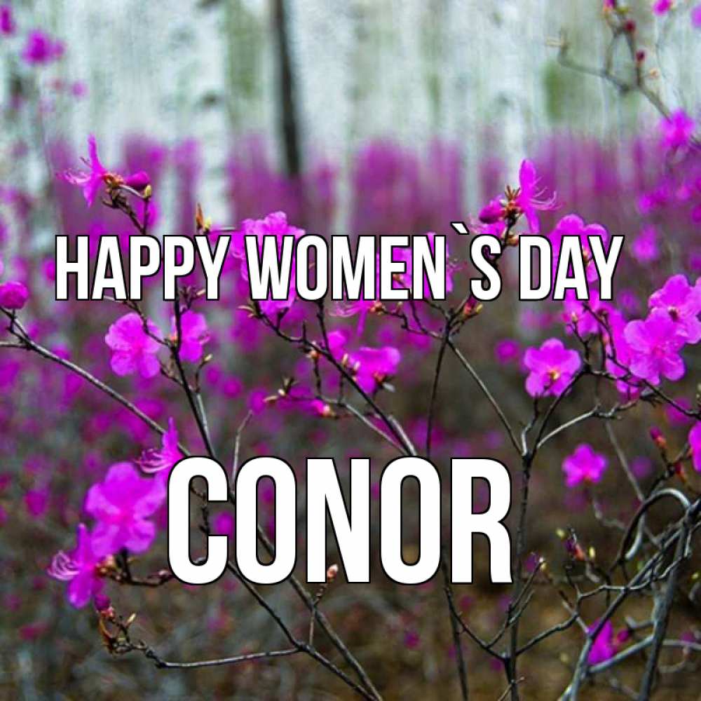 Greetings card с именем, Conor happy women`s day дикие цветы Greetings with text for free download 